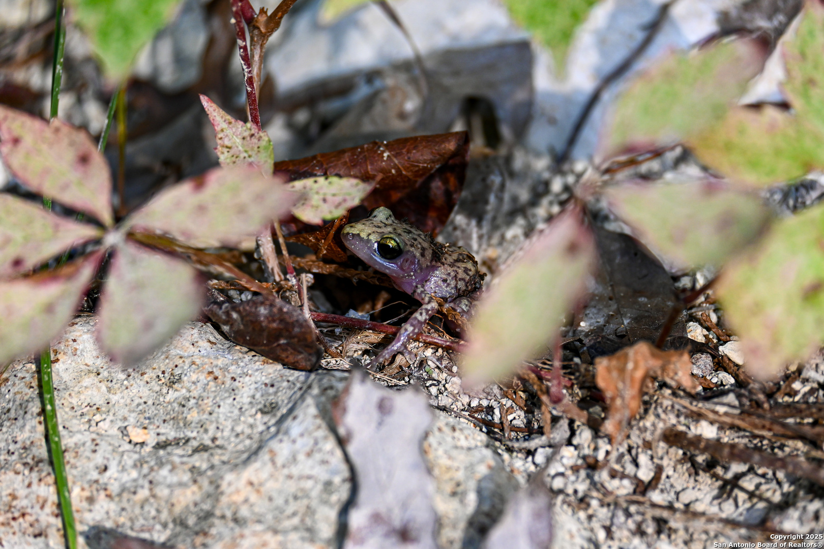 417 Sparkling Springs