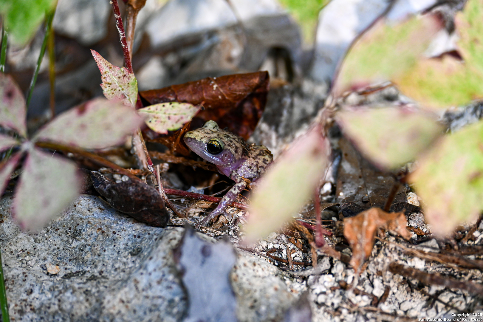 417 Sparkling Springs