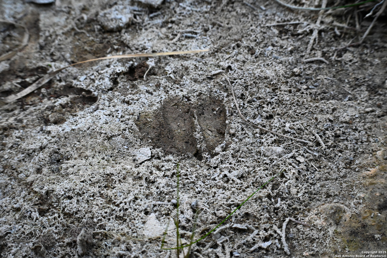 417 Sparkling Springs