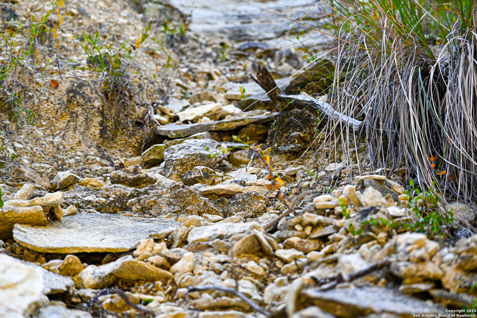 417 Sparkling Springs