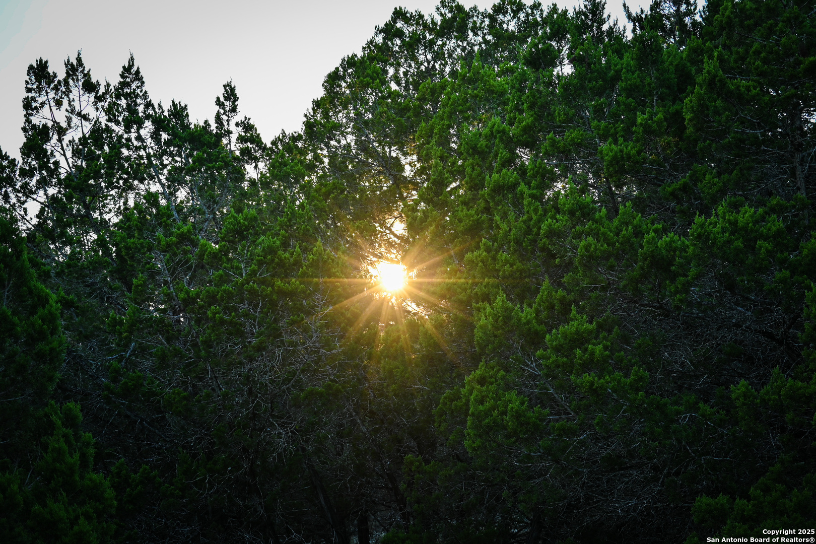 417 Sparkling Springs