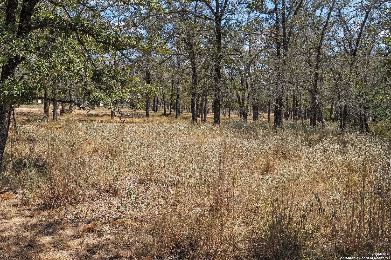 1963 Deer Trail