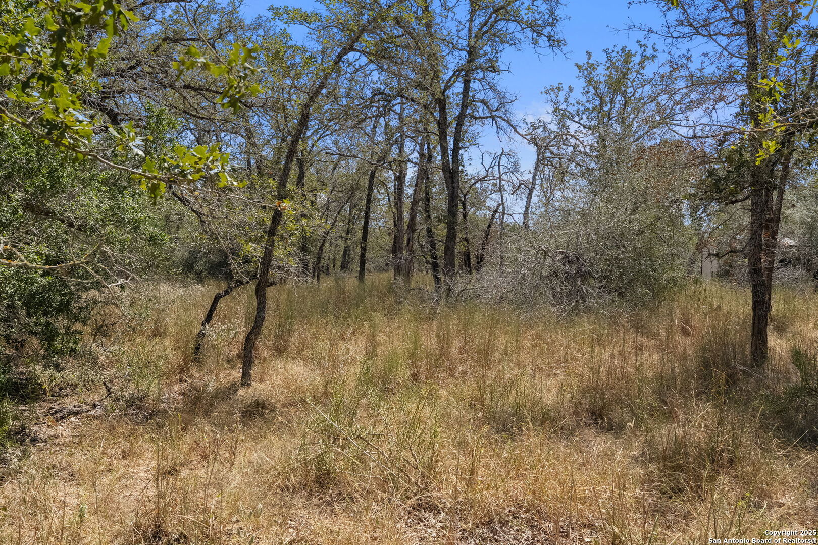 1963 Deer Trail