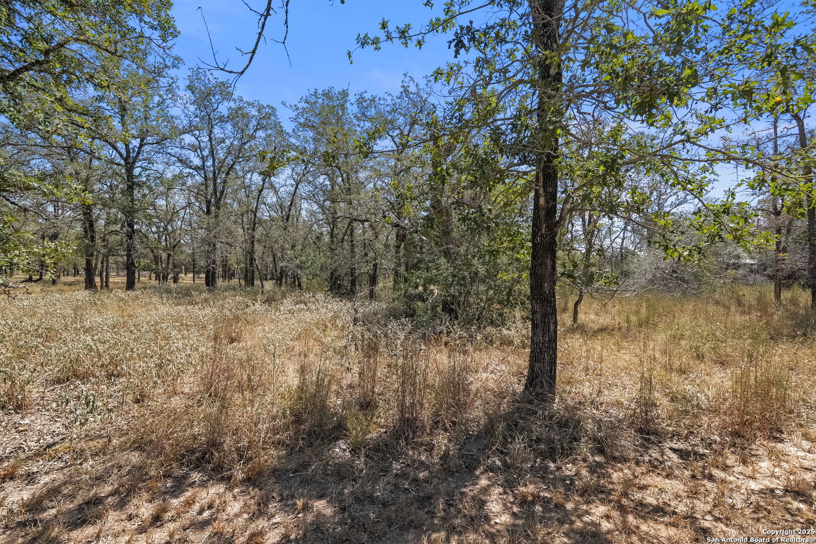1963 Deer Trail