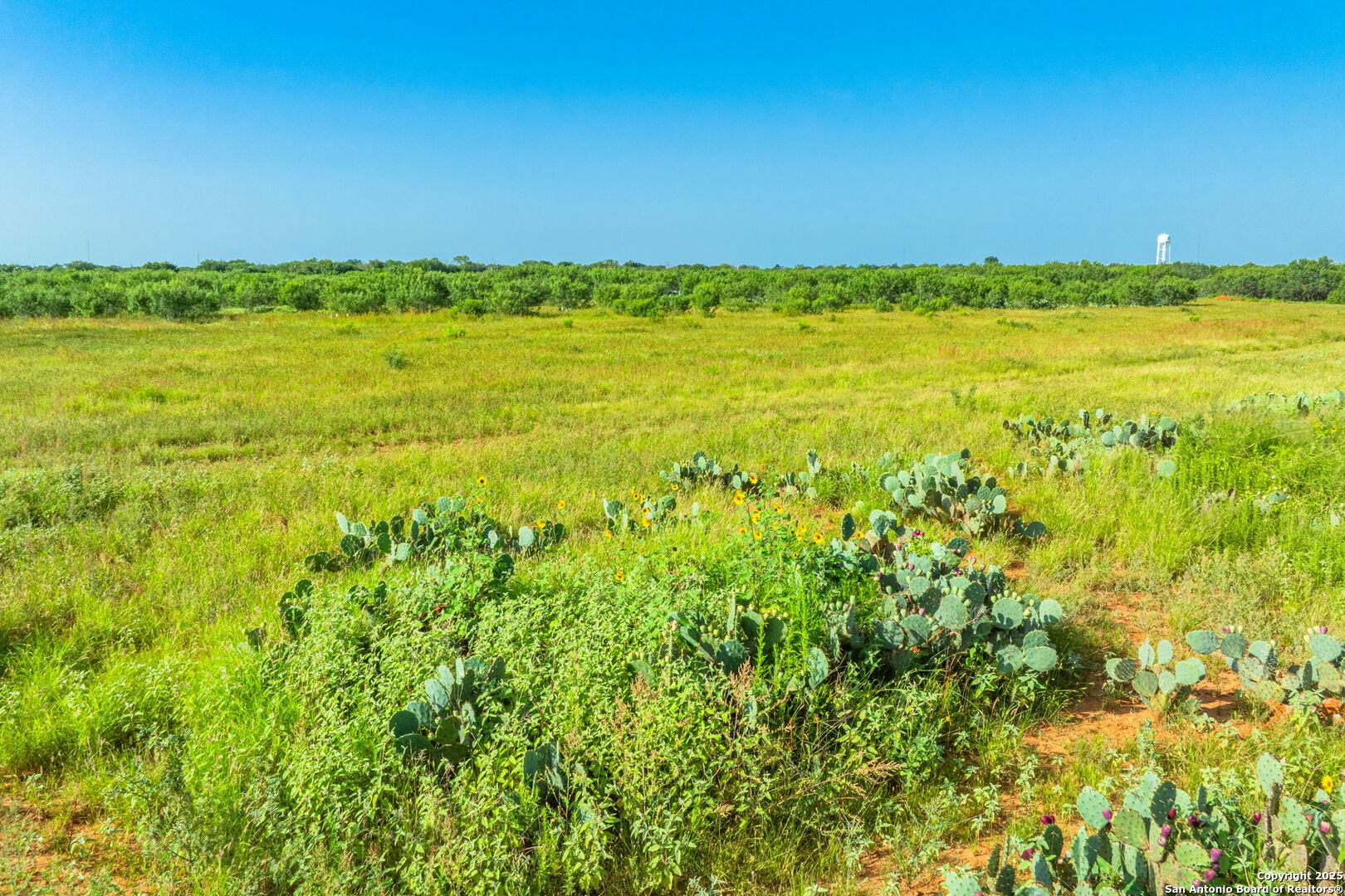 3911 County Road 1000