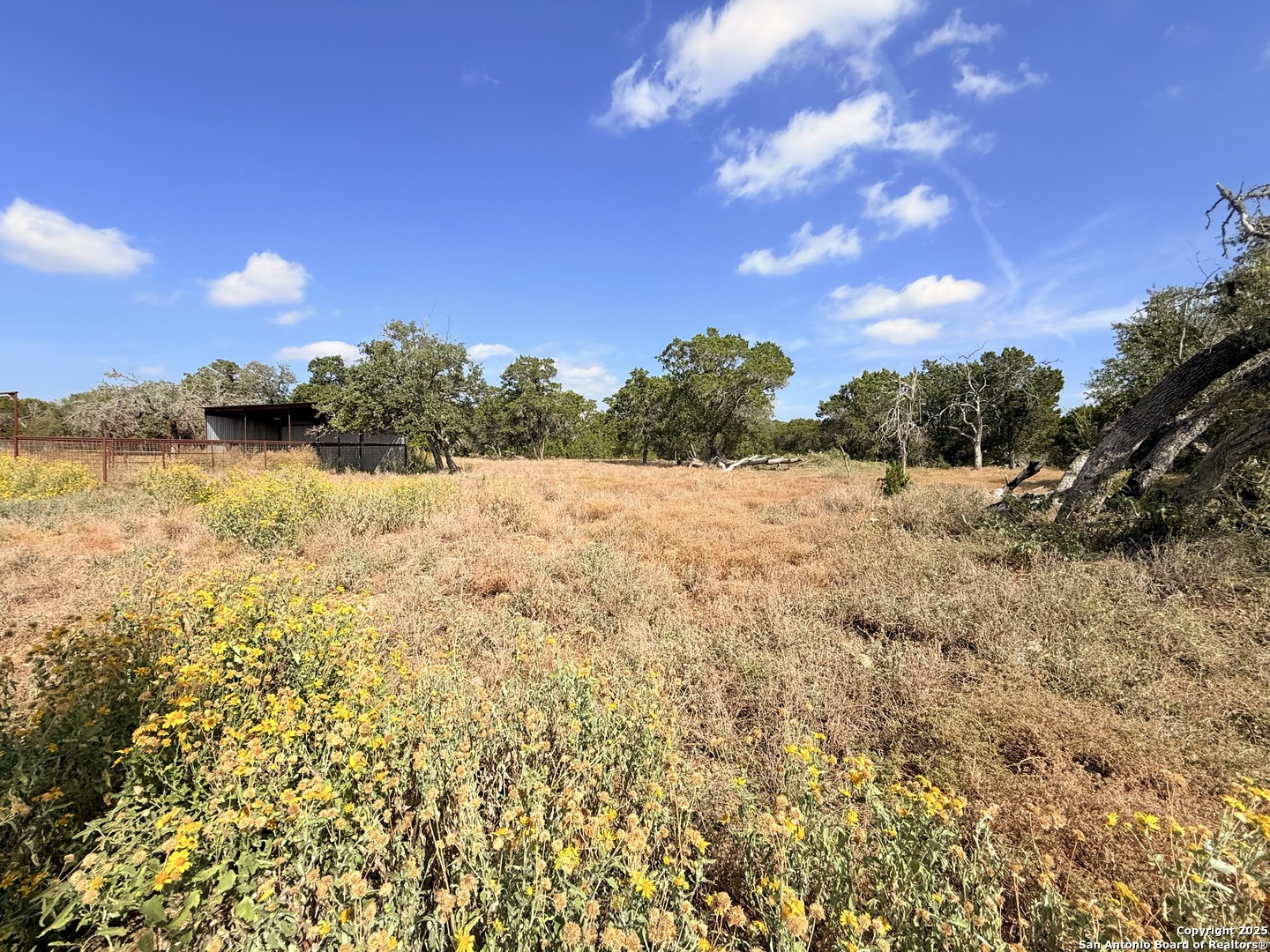 230 Juniper Ln