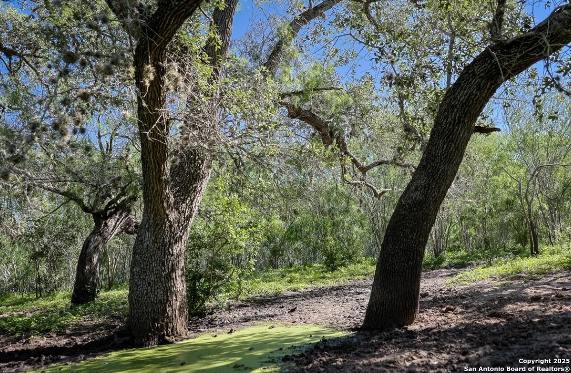 000 County Line Rd # 120