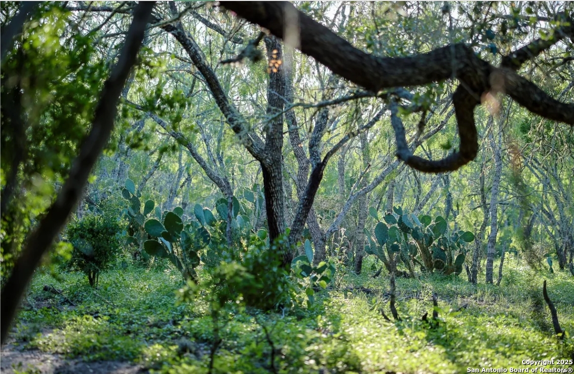 000 County Line Rd # 120