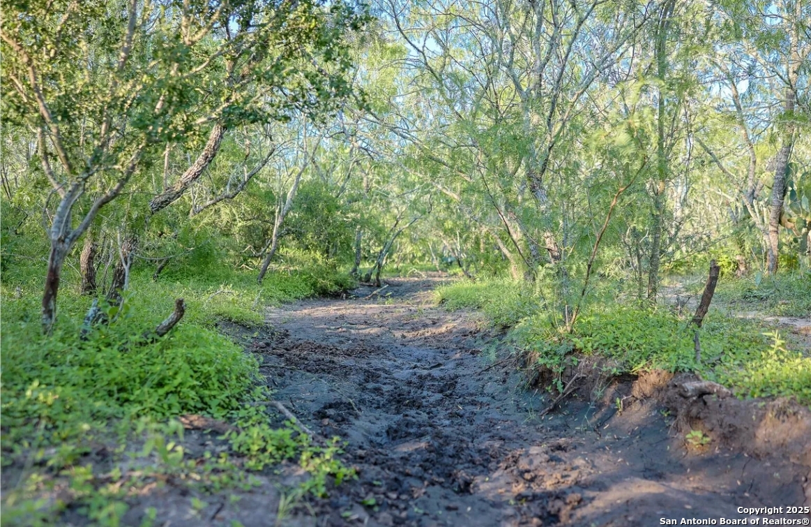 000 County Line Rd # 120