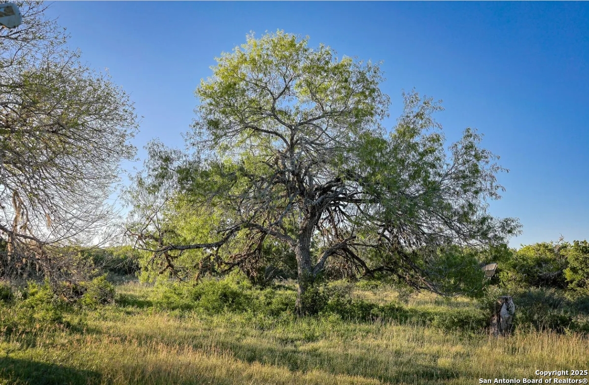 000 County Line Rd # 120