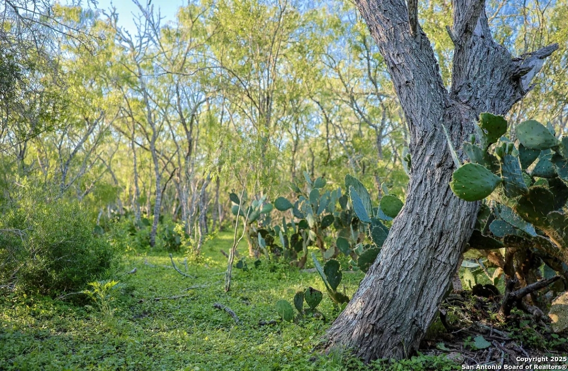 000 County Line Rd # 120