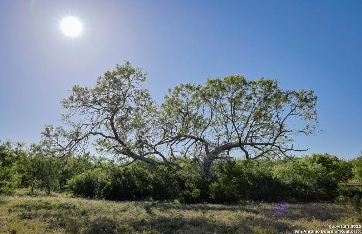 000 County Line Rd # 120