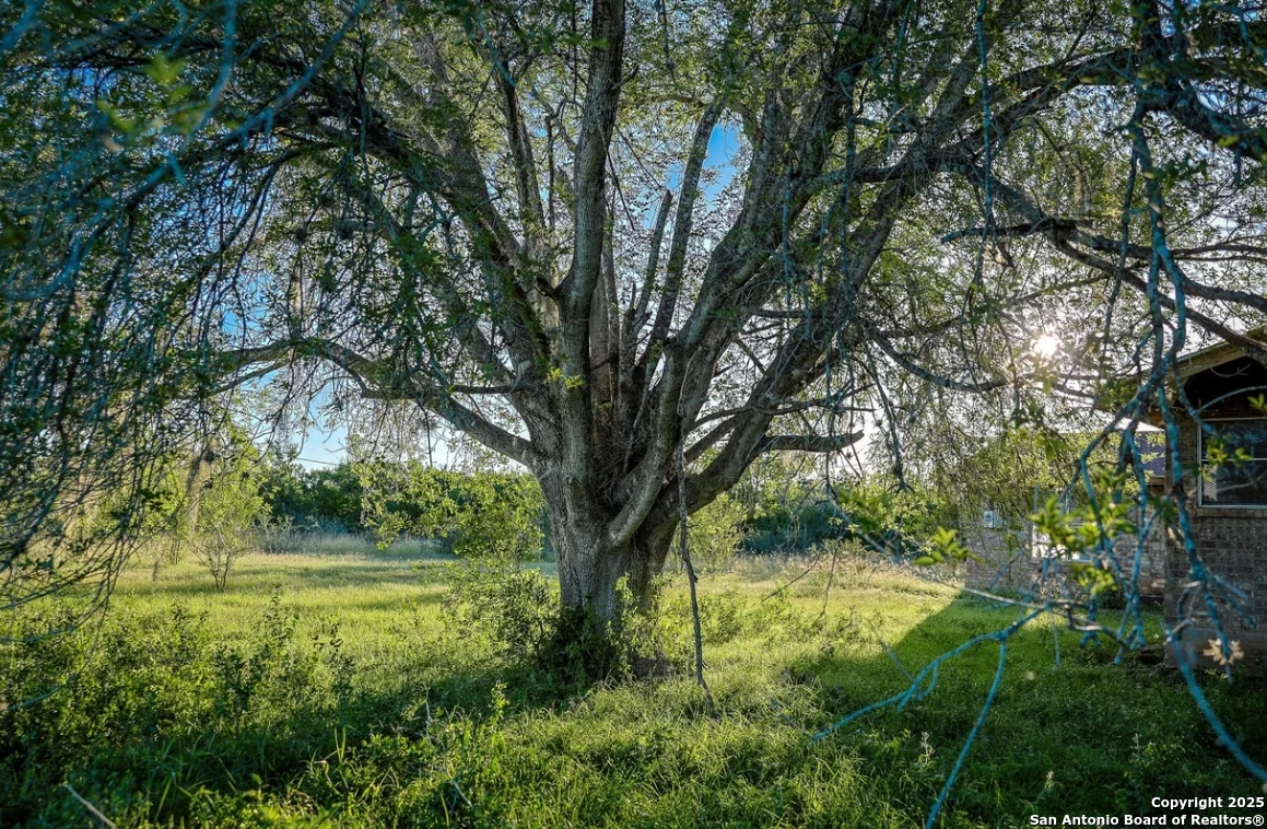 000 County Line Rd # 120