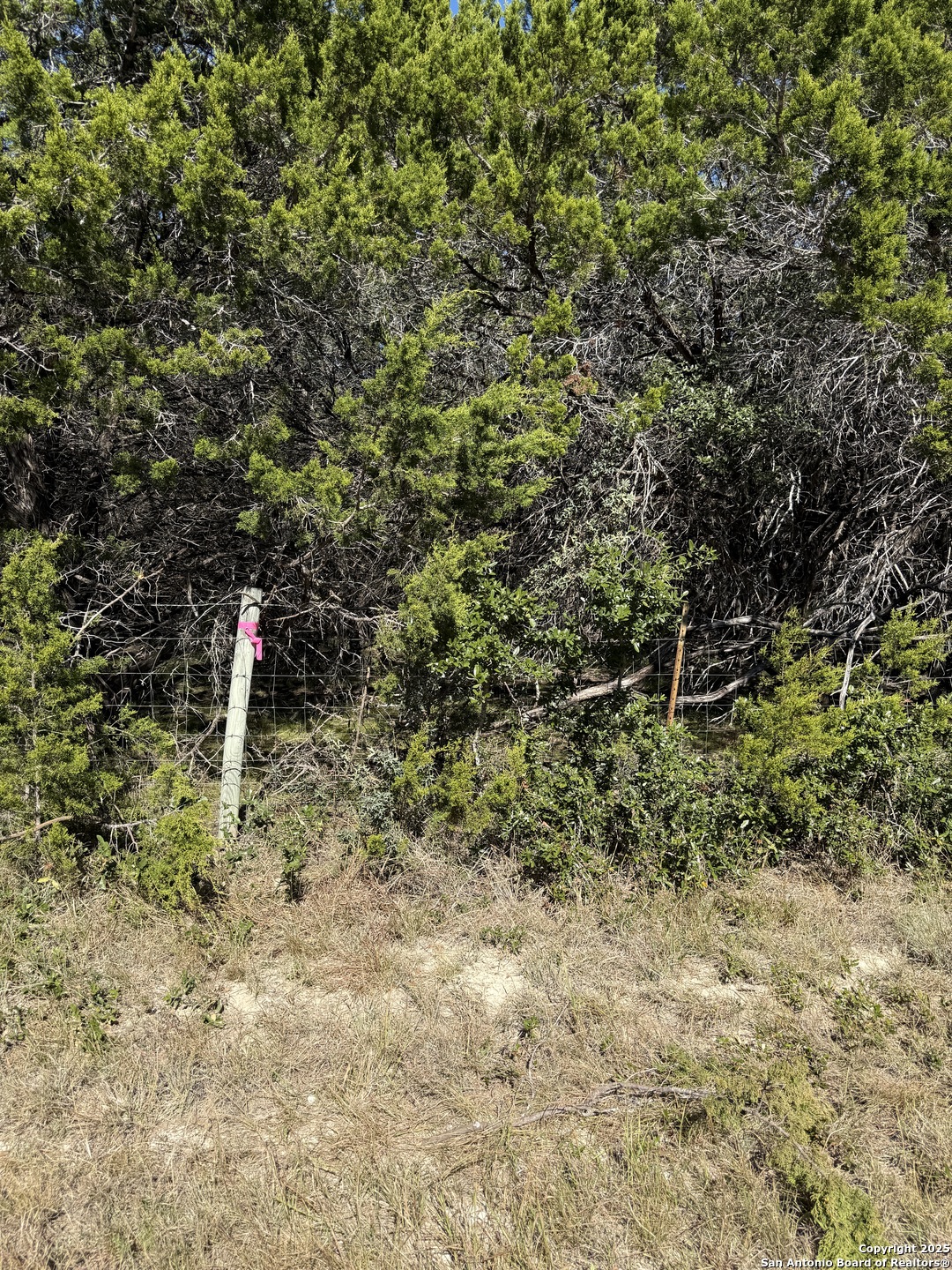 (LT) 396 Forest Trail Drive