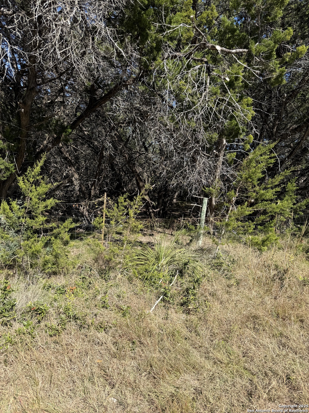 (LT) 396 Forest Trail Drive