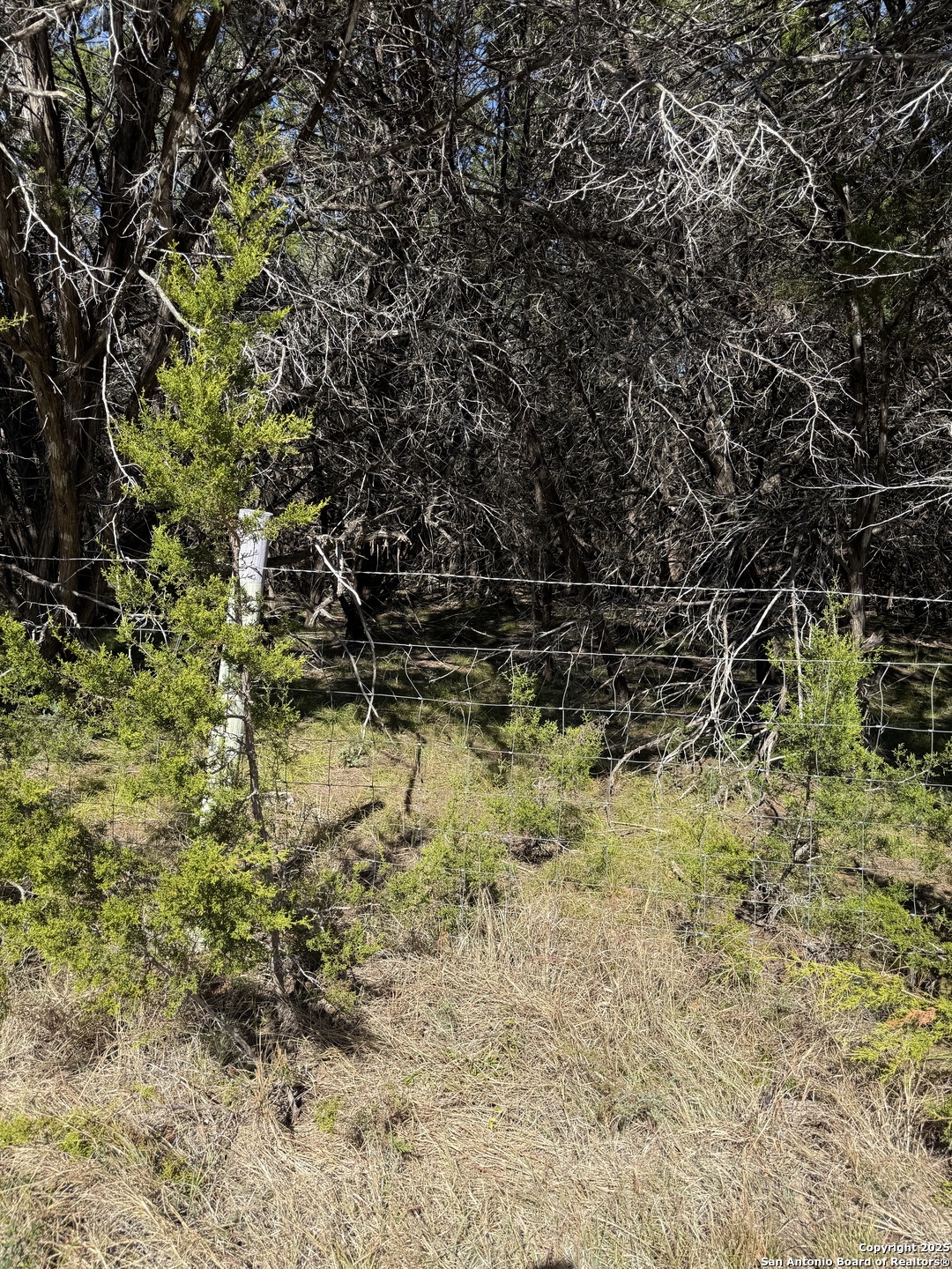 (LT) 395 Forest Trail Drive