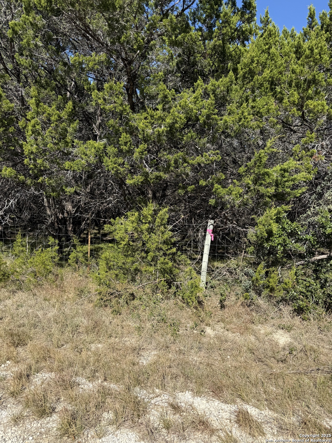 (LT) 395 Forest Trail Drive