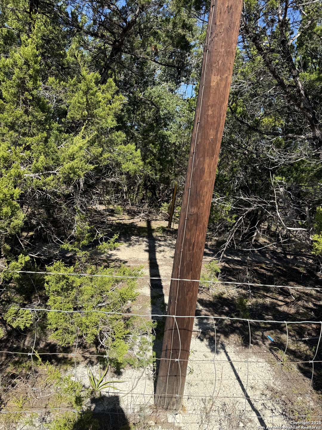 LT 391 Forest Trail Drive