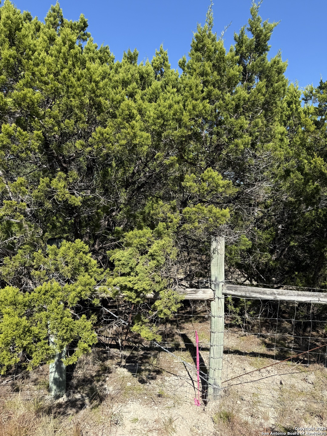 LT 391 Forest Trail Drive