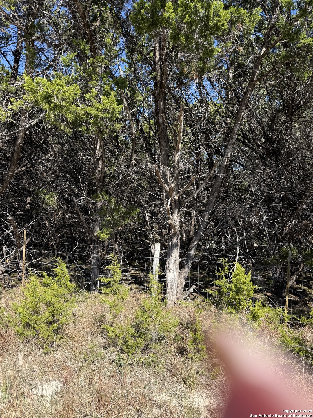 LT 392 Forest Trail Drive