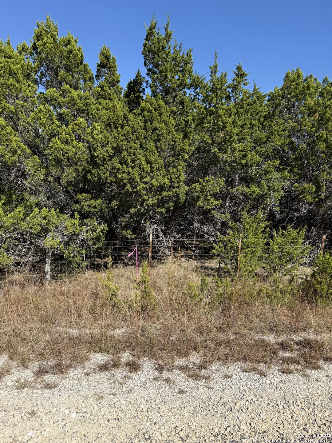 LT 392 Forest Trail Drive