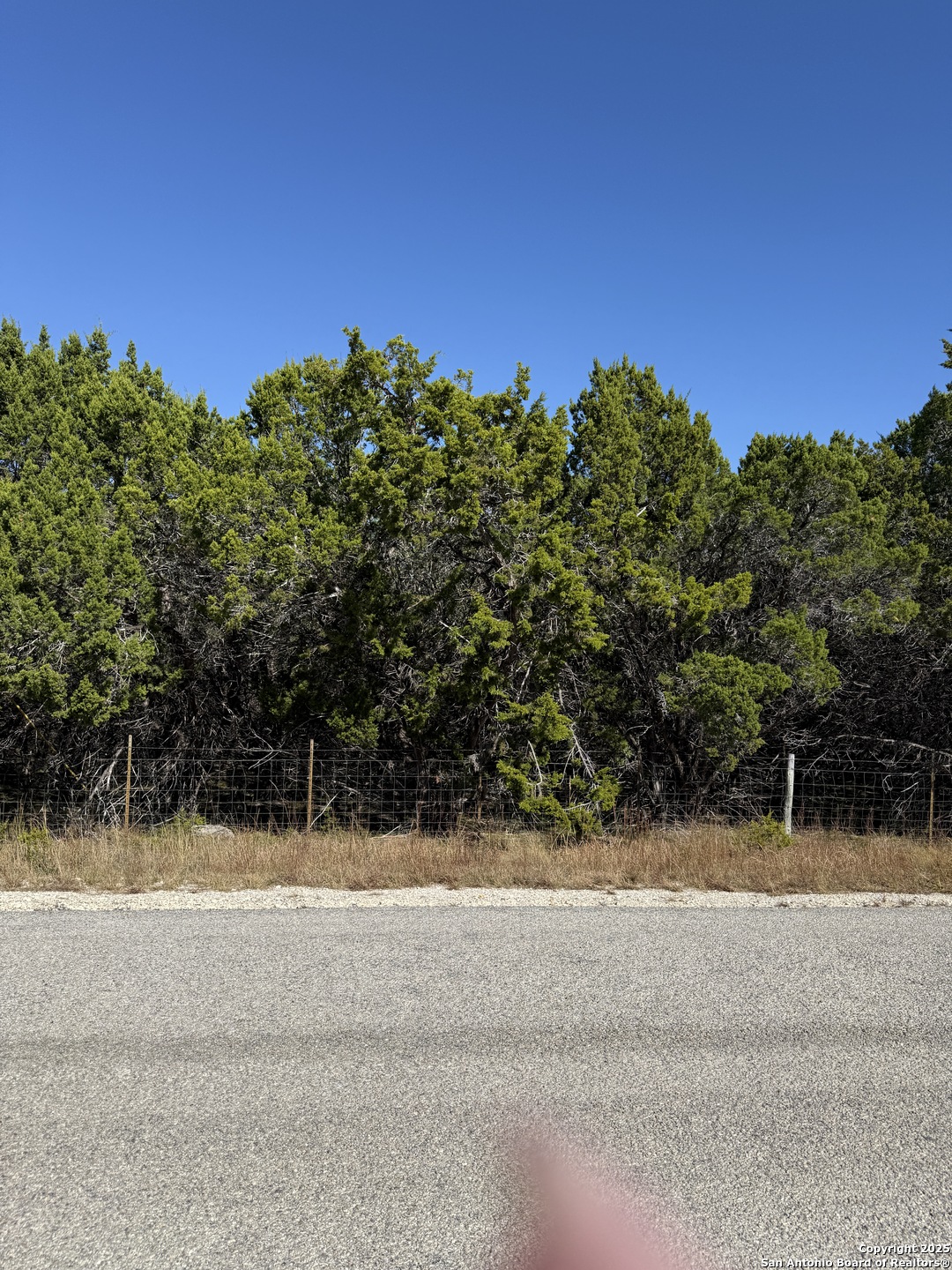 LT 392 Forest Trail Drive