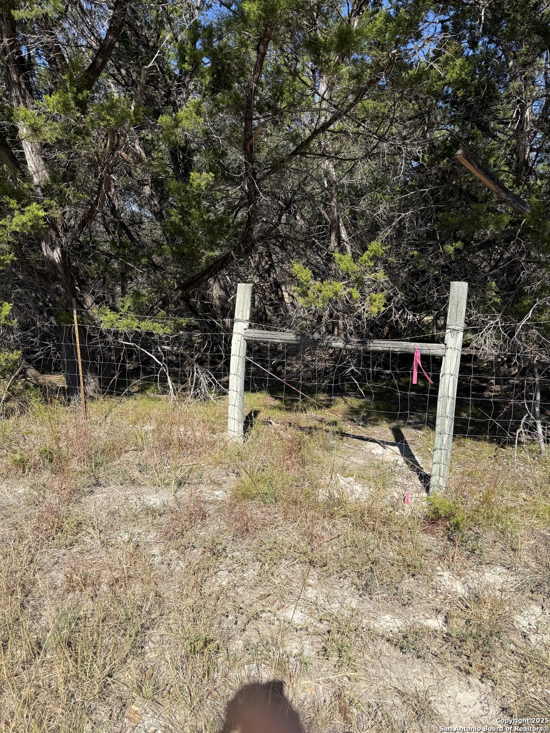 LT 392 Forest Trail Drive