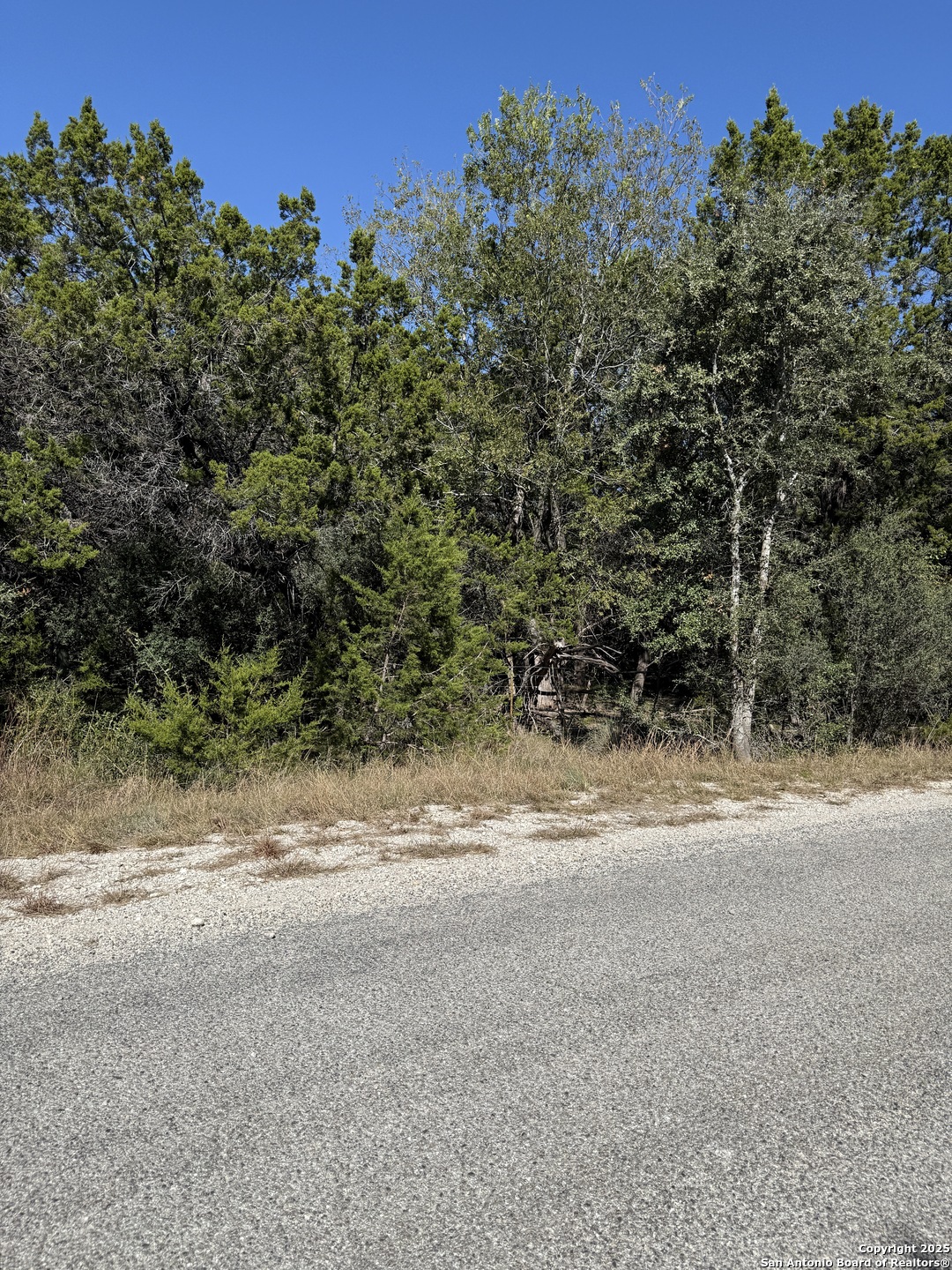 (LT)394 Forest Trail Drive