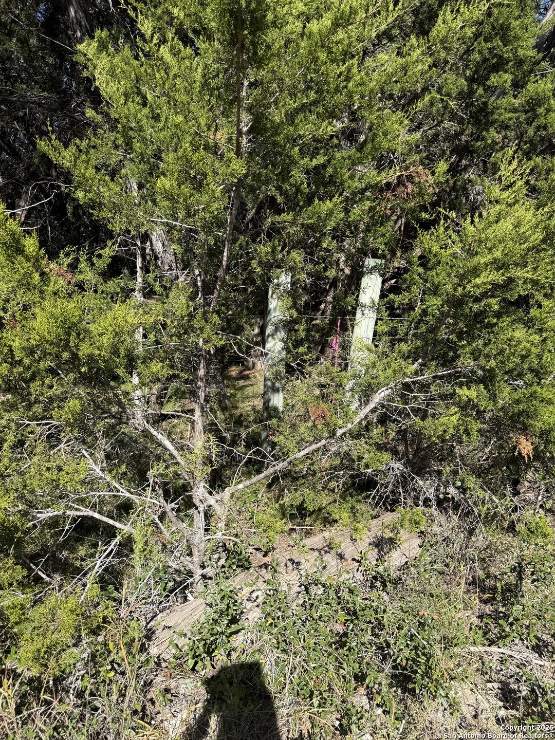 (LT)394 Forest Trail Drive