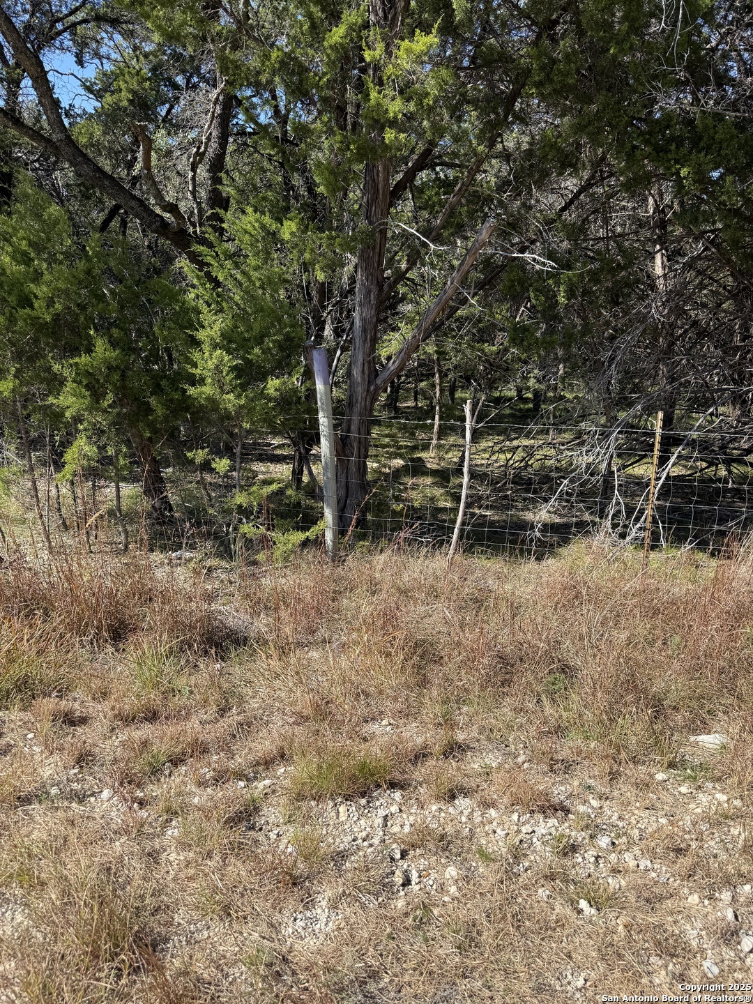 (LT)394 Forest Trail Drive