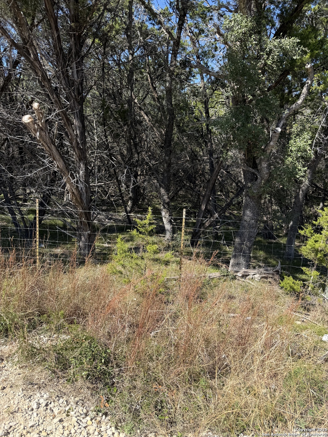 (LT)394 Forest Trail Drive