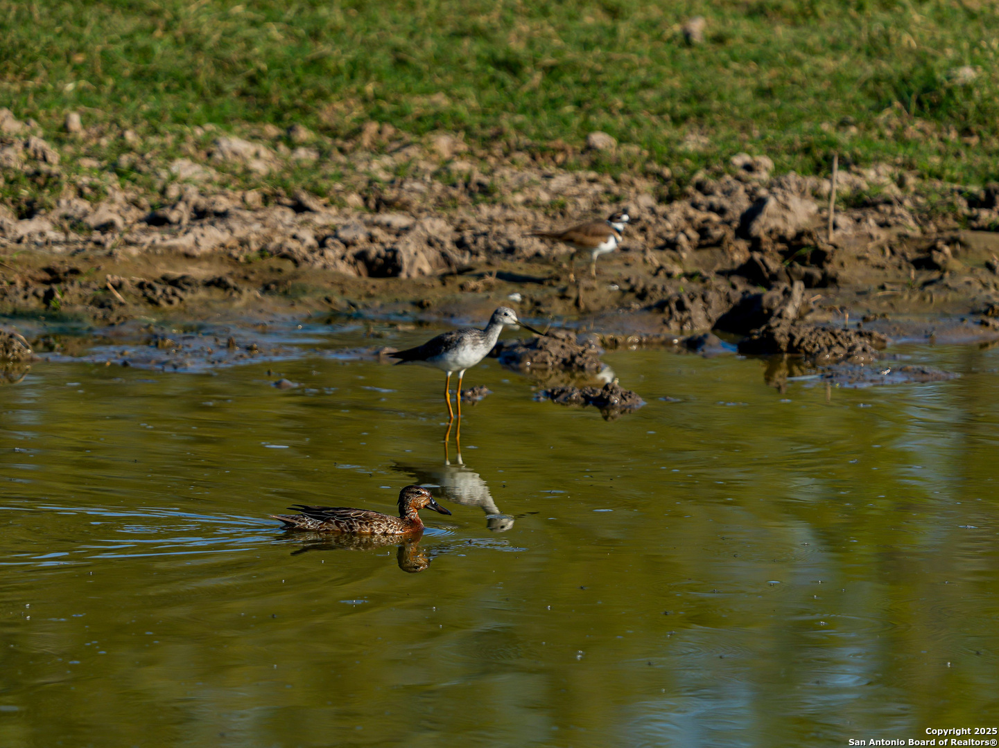 +/- 27.5 ACRES County Road 302