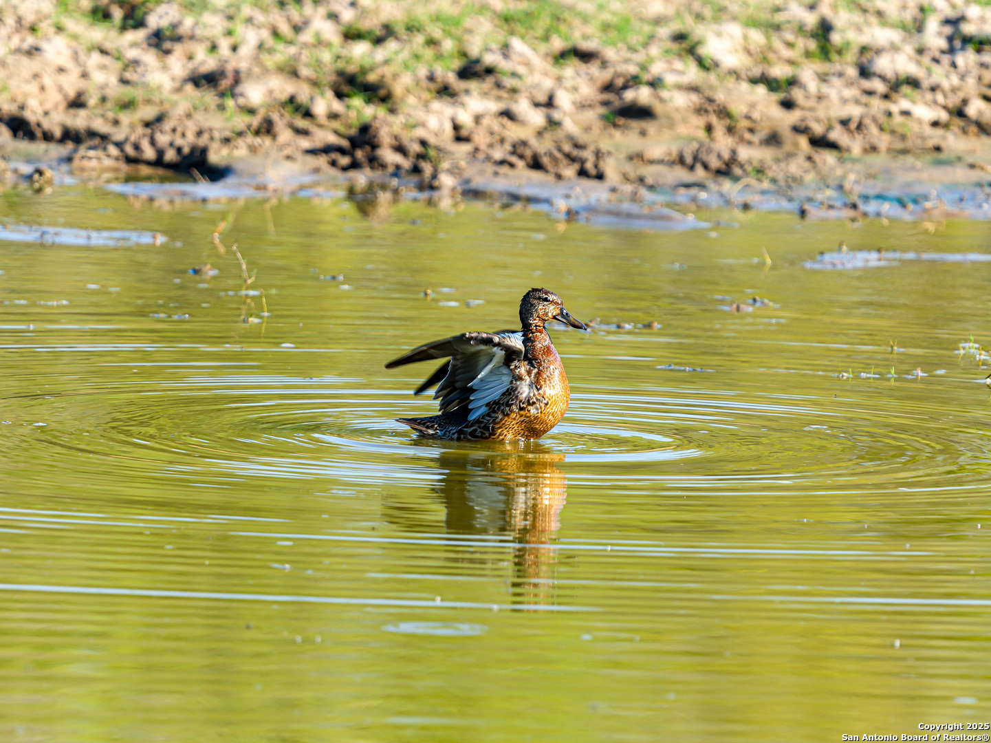 +/- 27.5 ACRES County Road 302