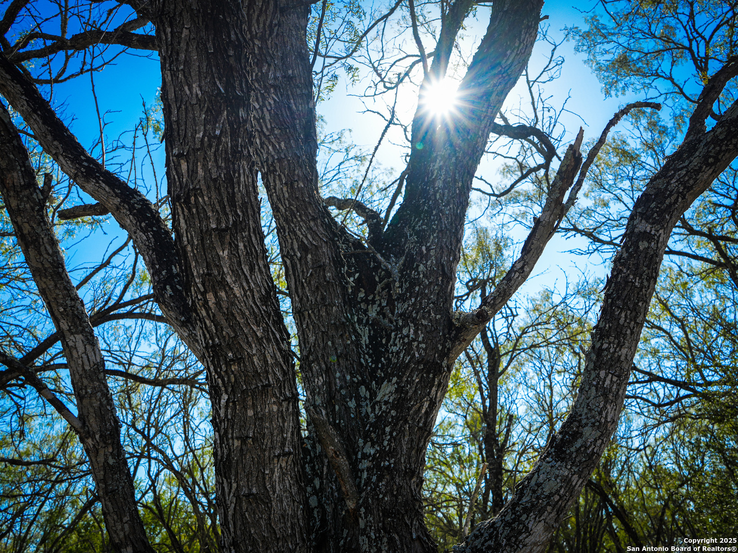 +/- 27.5 ACRES County Road 302