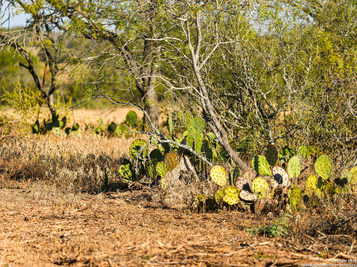 +/- 27.5 ACRES County Road 302