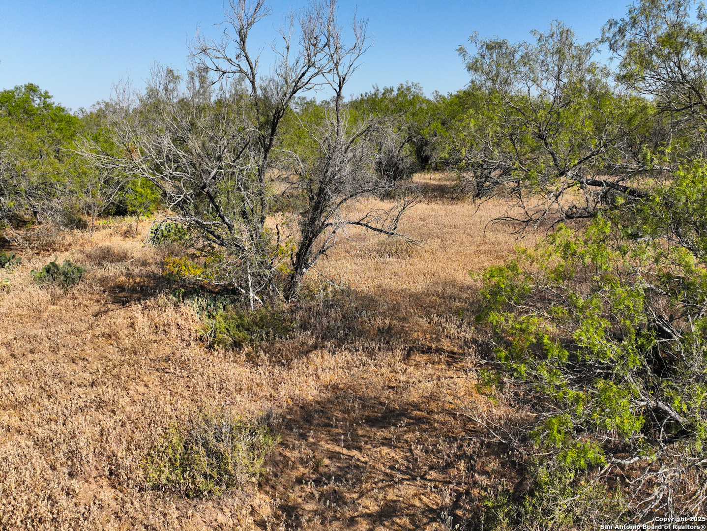 +/- 27.5 ACRES County Road 302