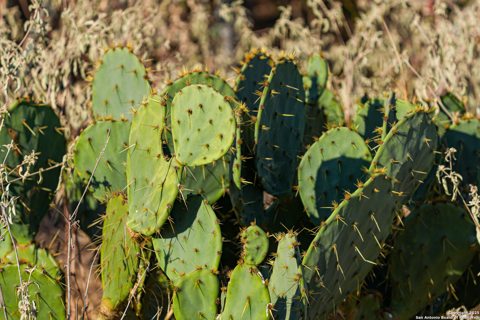 +/- 27.5 ACRES County Road 302