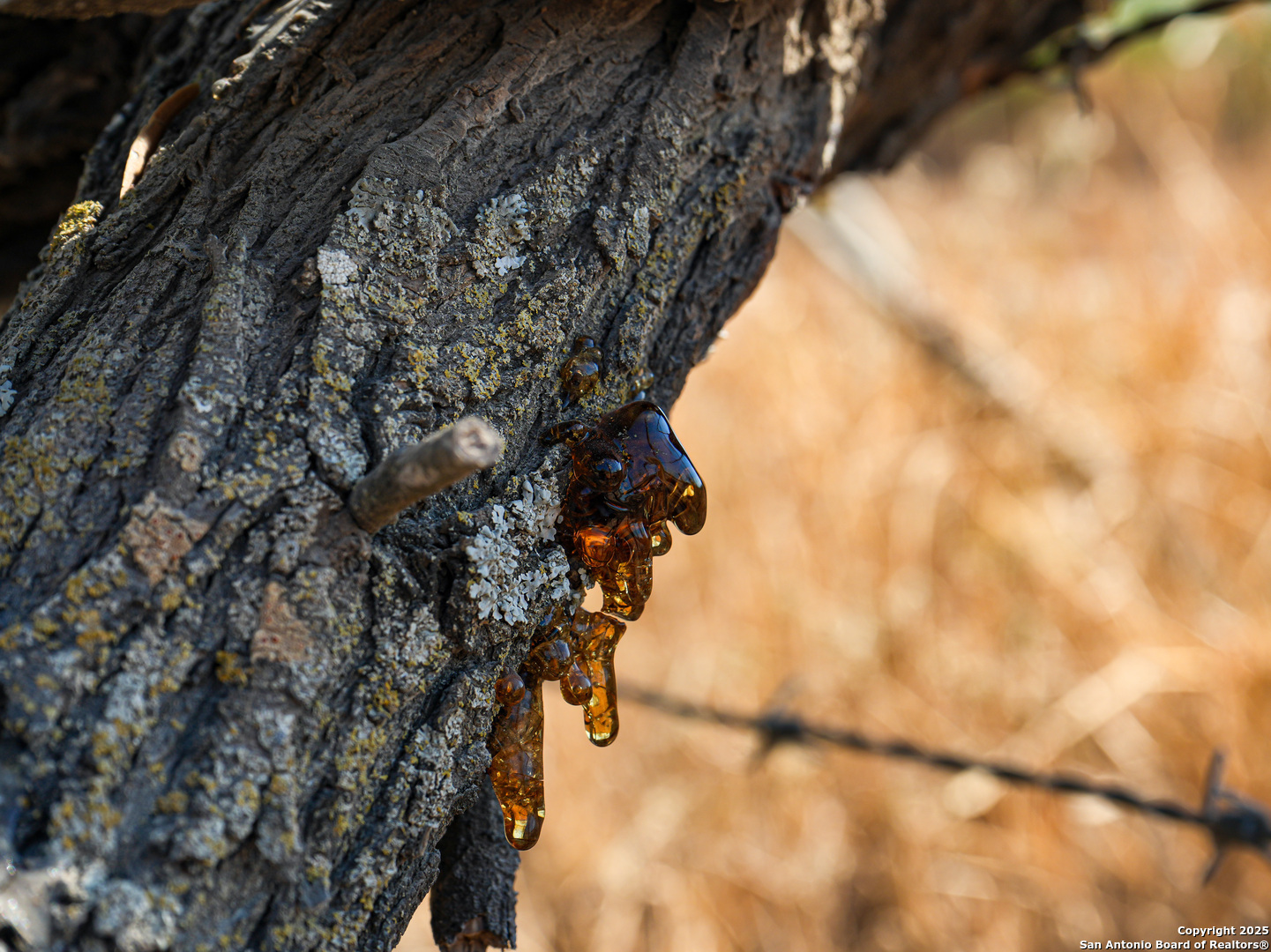 +/- 27.5 ACRES County Road 302