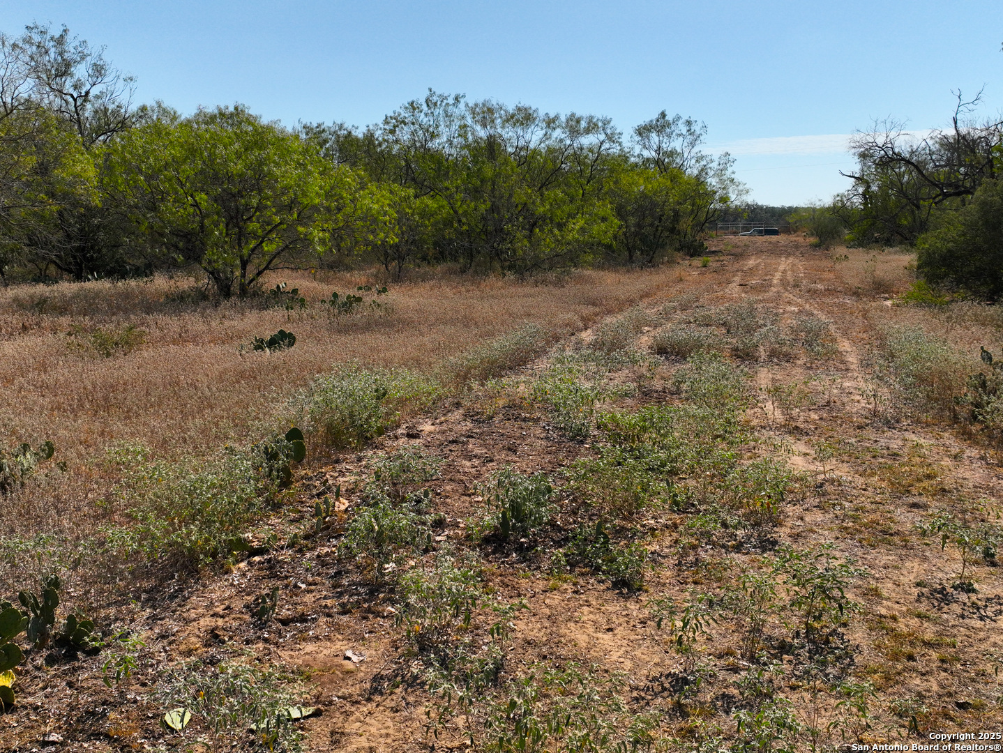 +/- 27.5 ACRES County Road 302