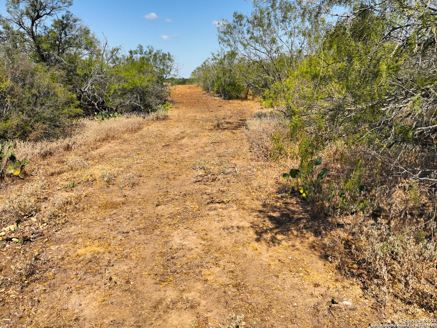 +/- 27.5 ACRES County Road 302