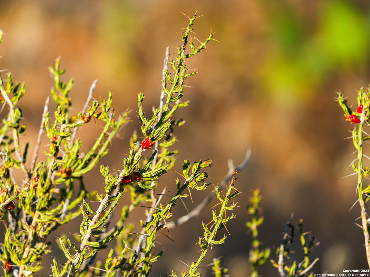 +/- 27.5 ACRES County Road 302