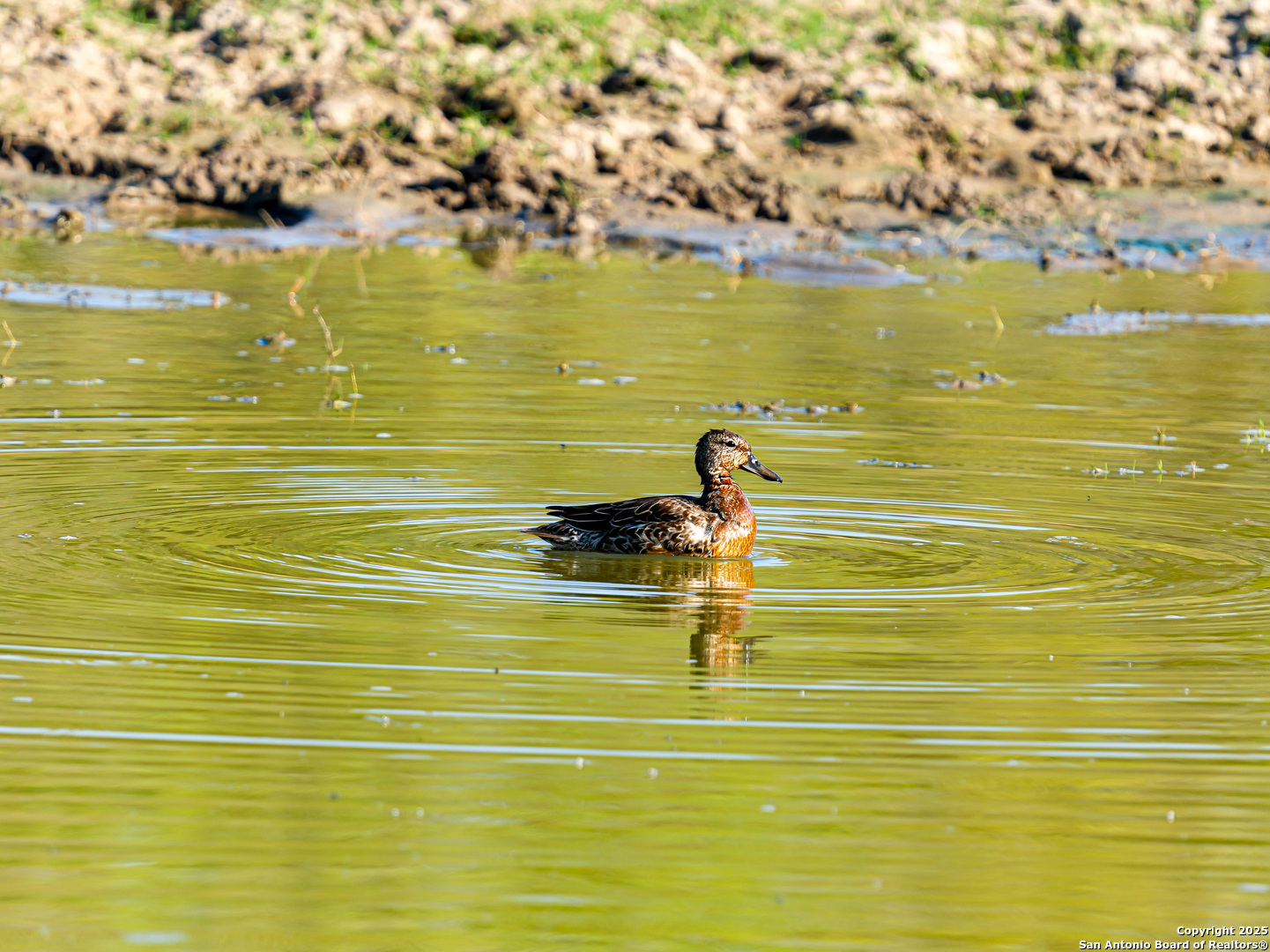 +/- 27.5 ACRES County Road 302