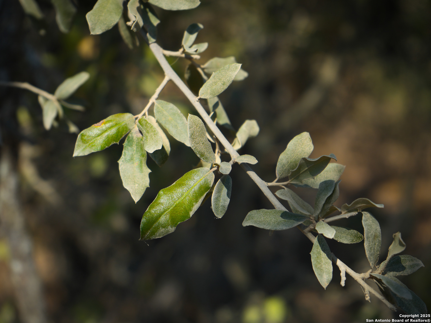 +/- 27.5 ACRES County Road 302