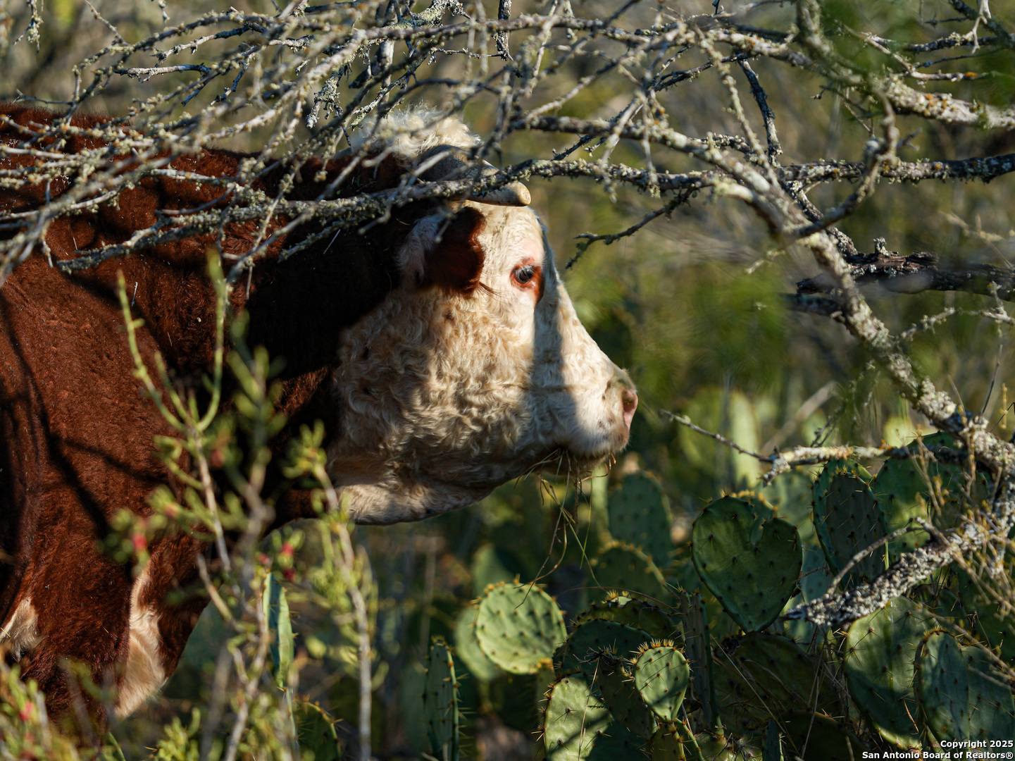 +/- 27.5 ACRES County Road 302