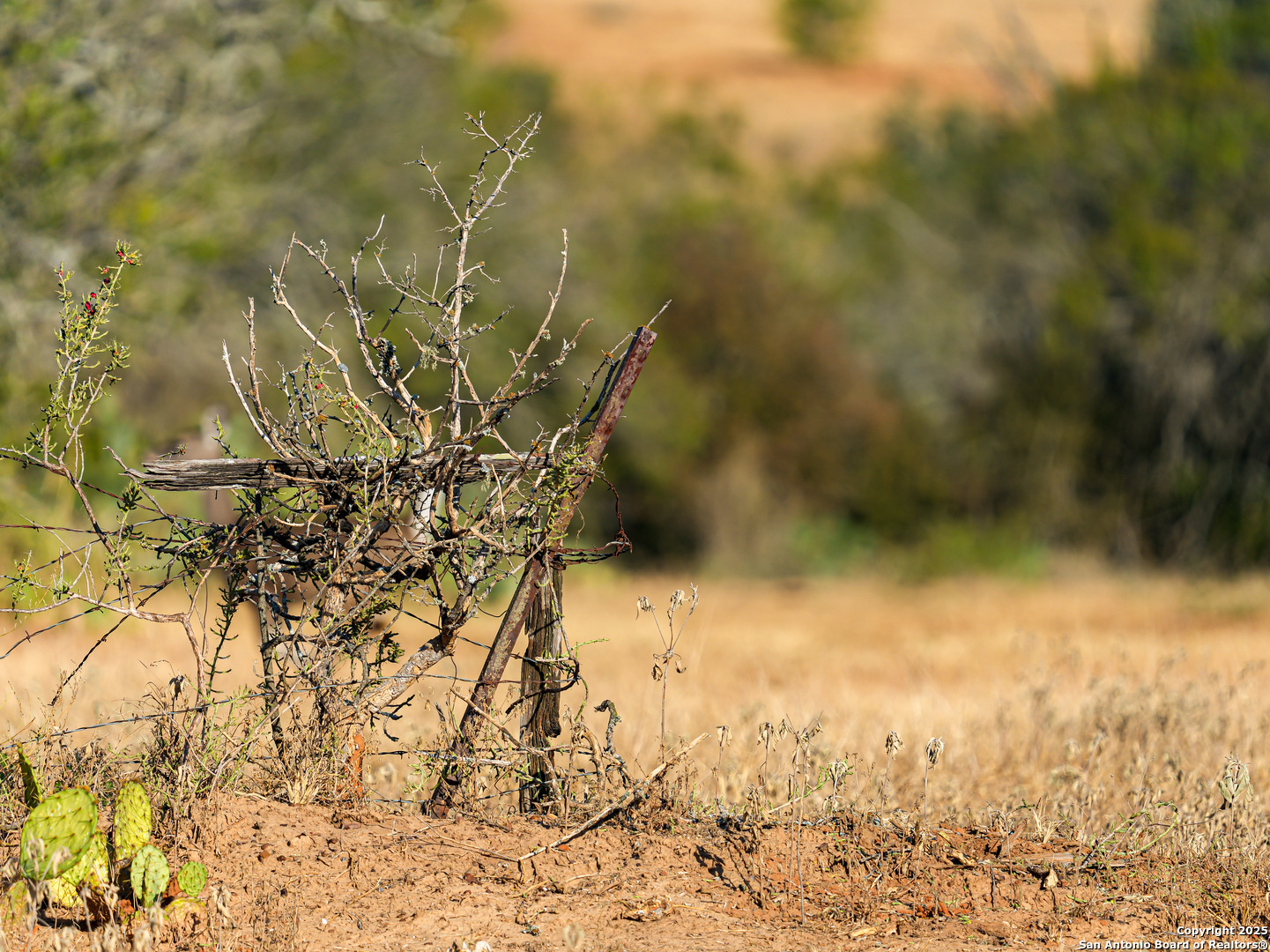 +/- 27.5 ACRES County Road 302