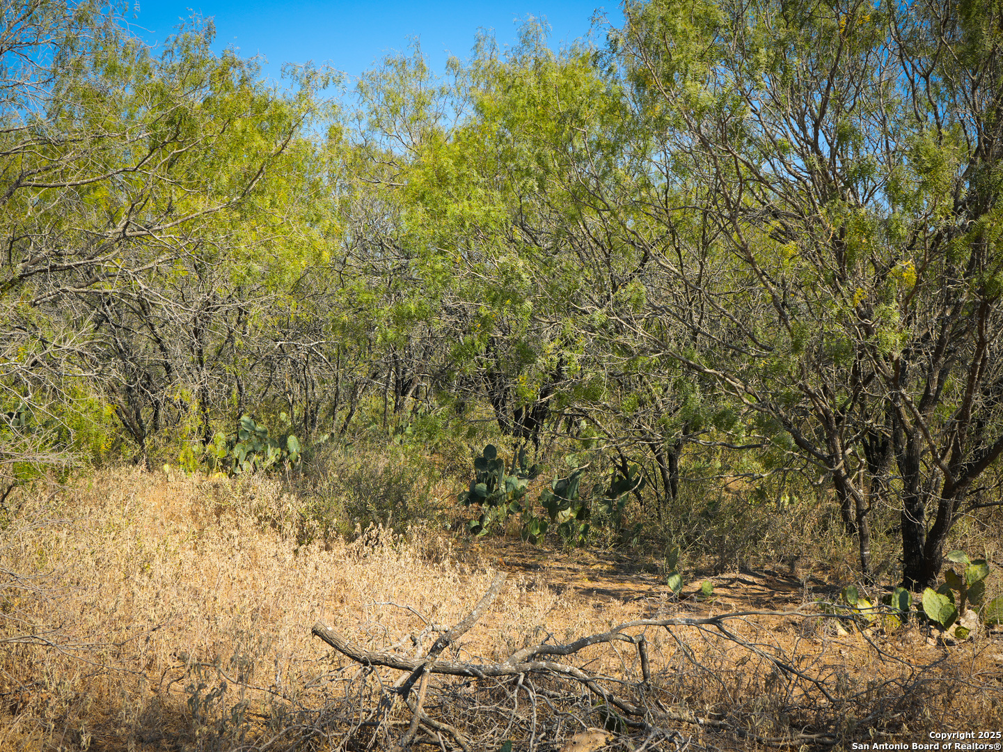 +/- 27.5 ACRES County Road 302