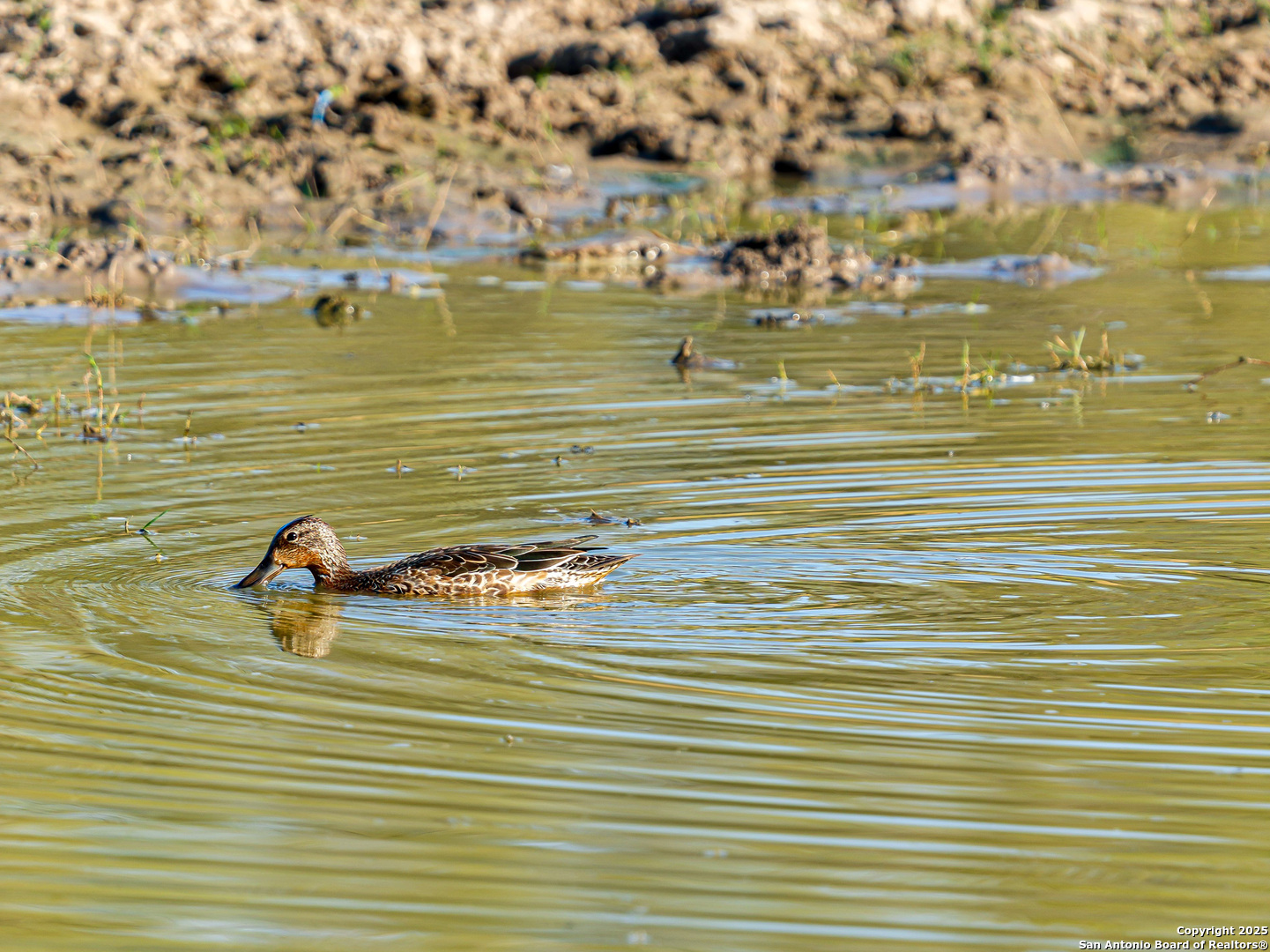 +/- 27.5 ACRES County Road 302