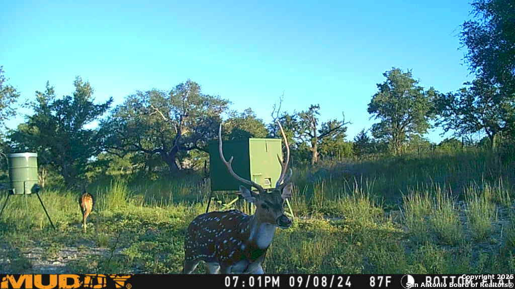 LOT 2 Live Oak Ridge