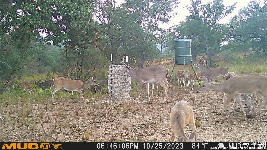 LOT 2 Live Oak Ridge