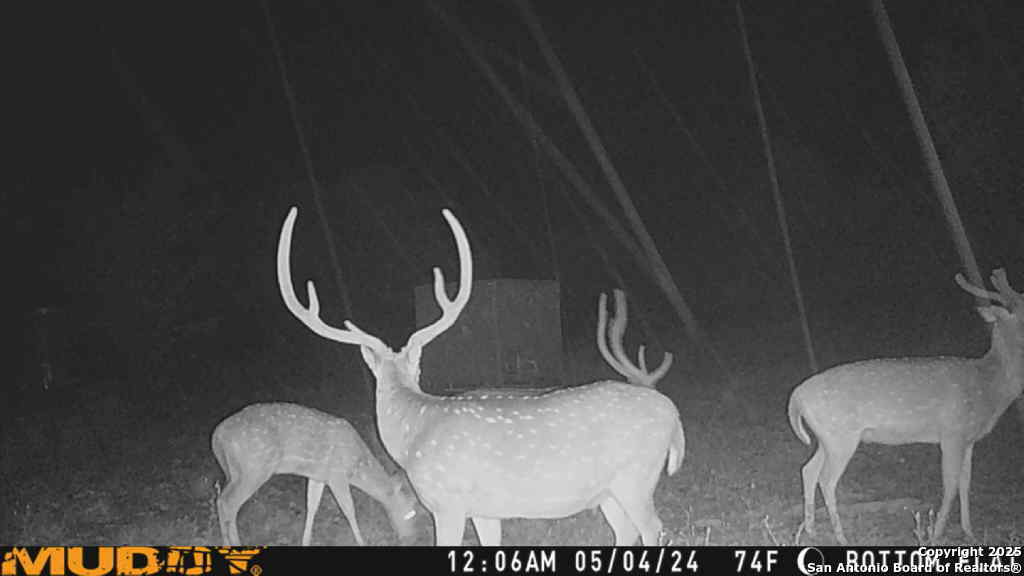 LOT 2 Live Oak Ridge